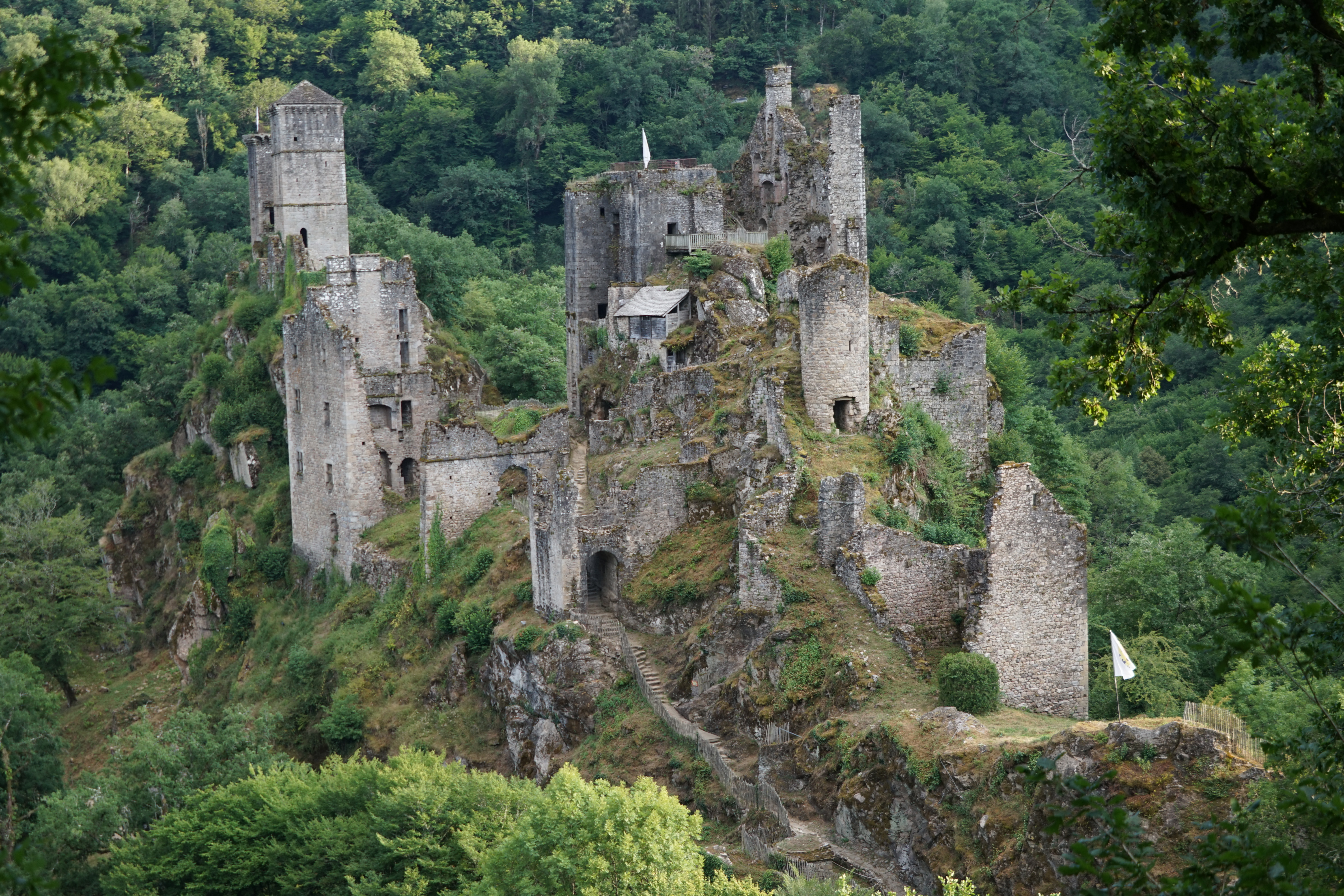 DSC03118.JPG (19.78 MB)