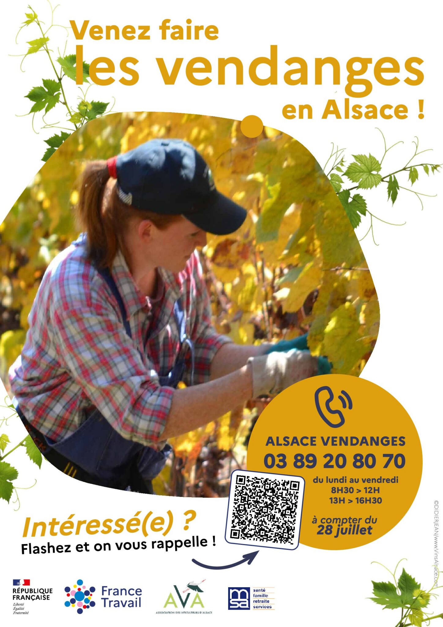 FlyerVendangesAlsace2026V4-1-1448x2048.jpg (342 KB)